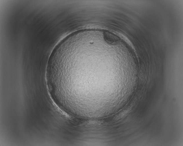 X0000073450847200608181237