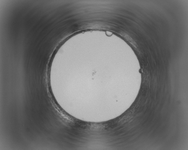 X0000073450848200608181237