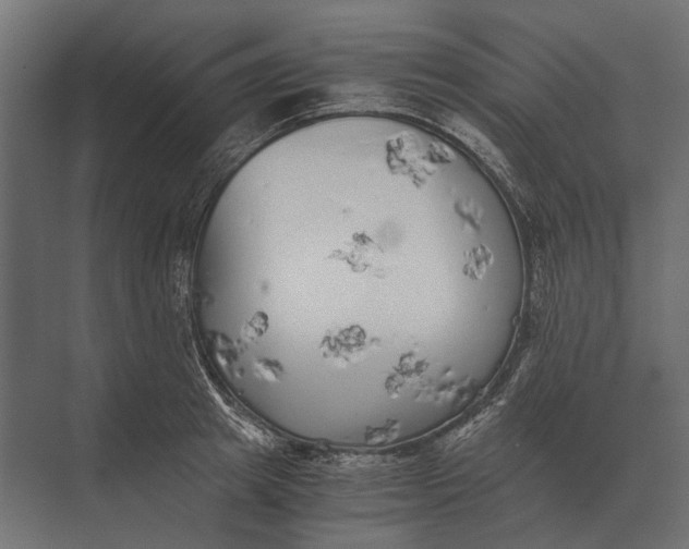 X0000073450849200608181237