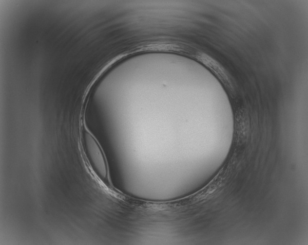 X0000073450852200608181237