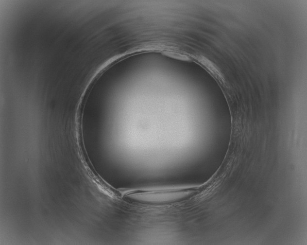 X0000073450854200608181237