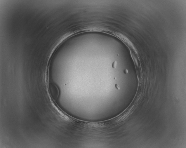 X0000073450855200608181237