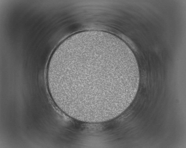 X0000073450856200608181237