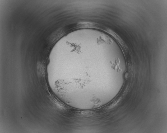 X0000073450857200608181237