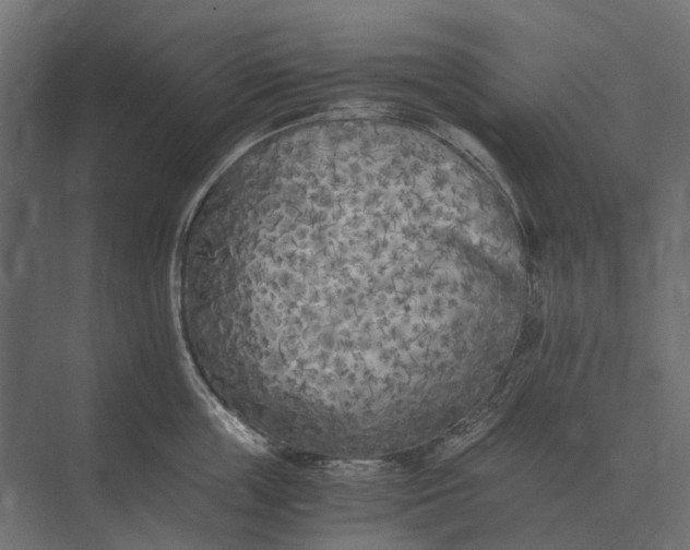 X0000073450859200608181237