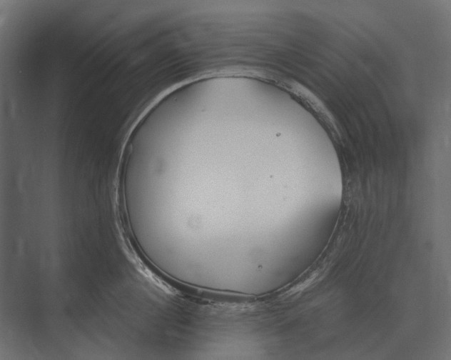 X0000073450860200608181237