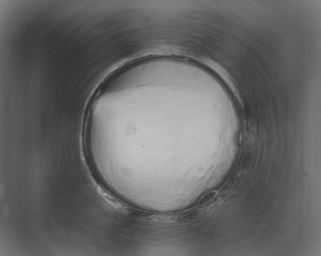 X0000073450861200608181237