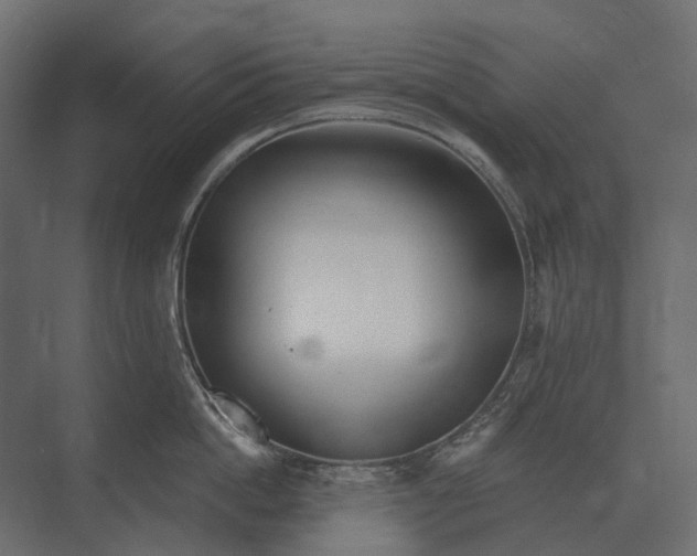 X0000073450862200608181237