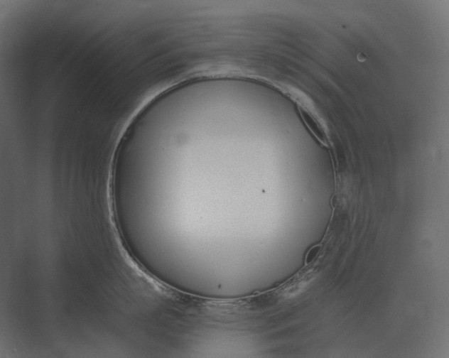 X0000073450863200608181237