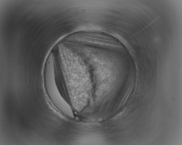 X0000073450864200608181237