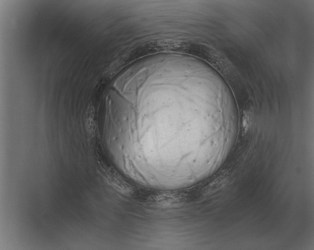 X0000073450867200608181236