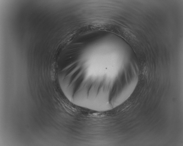 X0000073450868200608181236