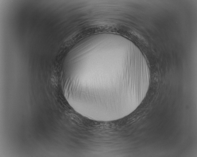 X0000073450869200608181236