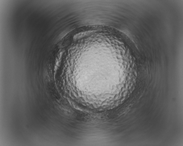 X0000073450871200608181236