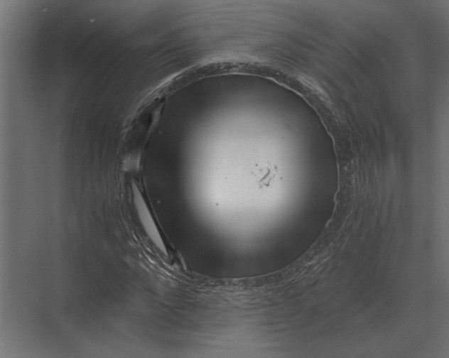 X0000073450872200608181236