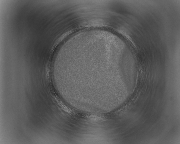 X0000073450874200608181236