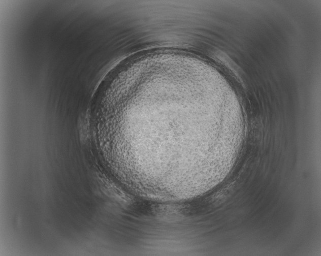 X0000073450875200608181236