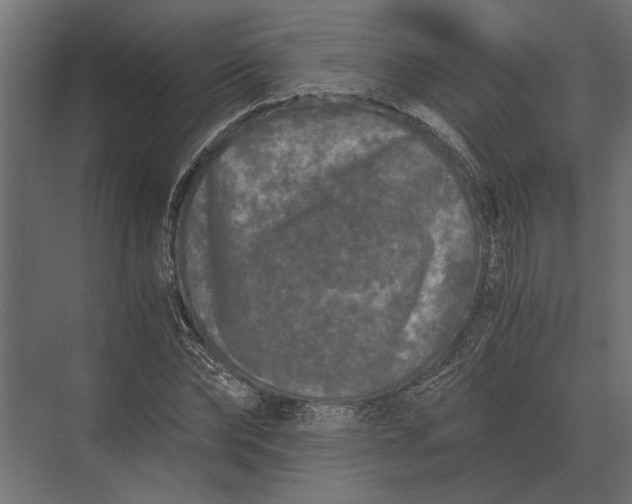 X0000073450878200608181236