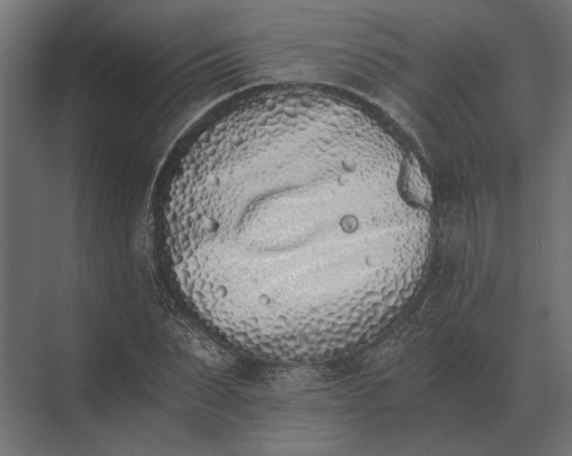 X0000073450879200608181236