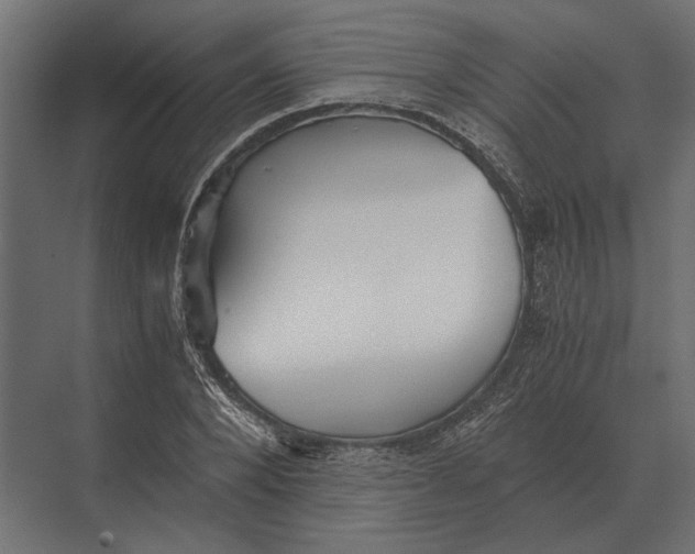 X0000073450880200608181236