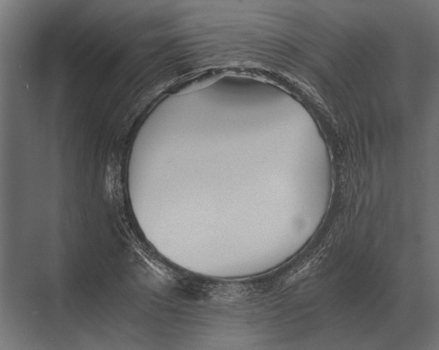 X0000073450881200608181236