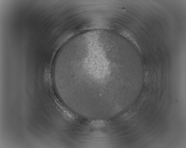 X0000073450882200608181236