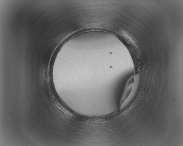 X0000073450884200608181236