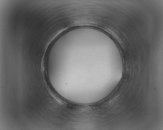 X0000073450885200608181236