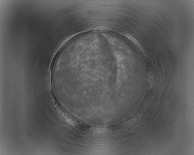 X0000073450886200608181236