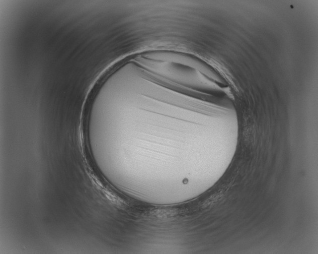 X0000073450888200608181236