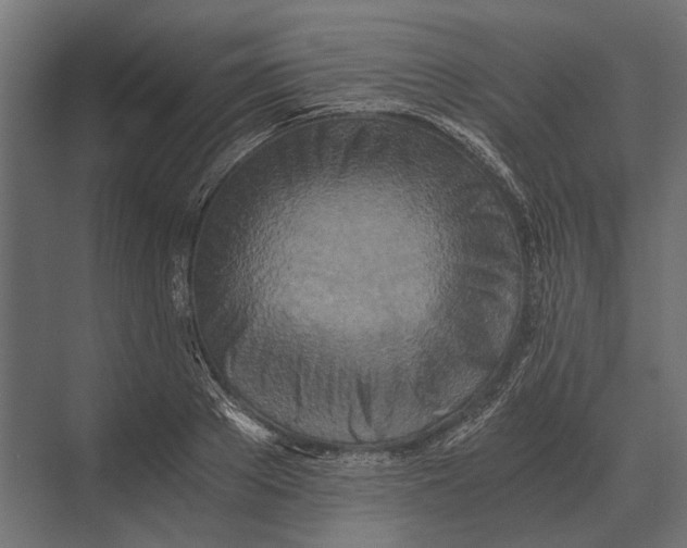 X0000073450889200608181236