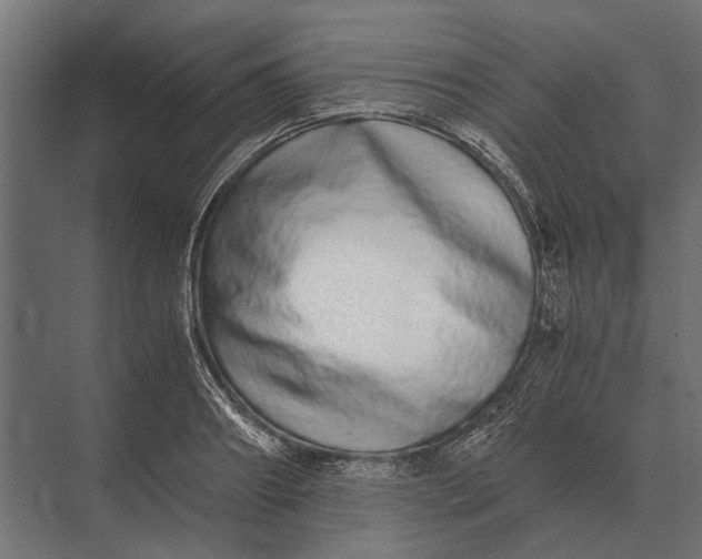 X0000073450890200608181236