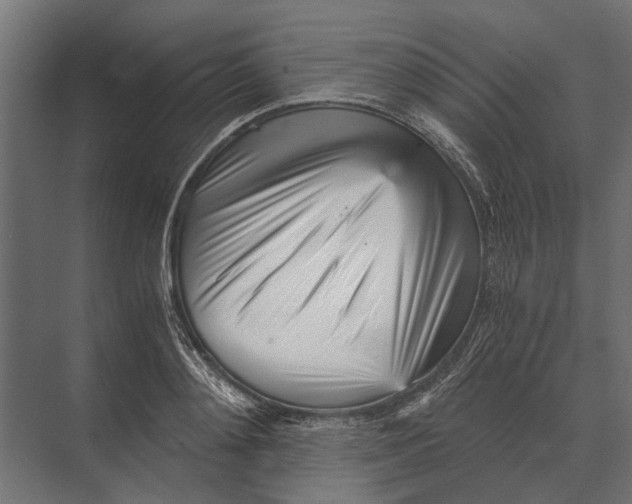 X0000073450892200608181236