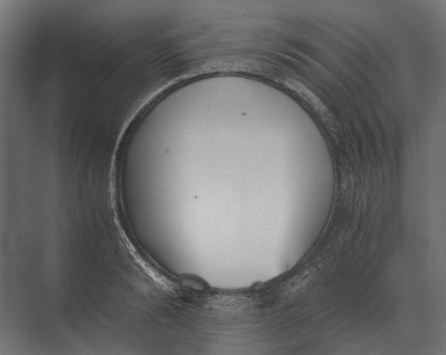 X0000073450894200608181236