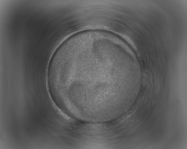 X0000073450895200608181236