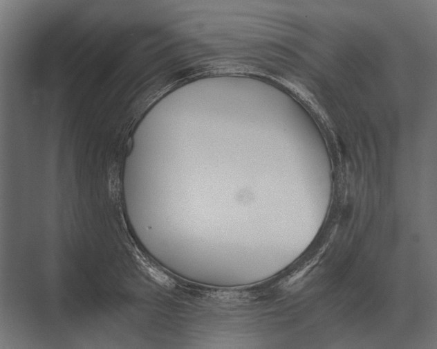 X0000073450897200608181235