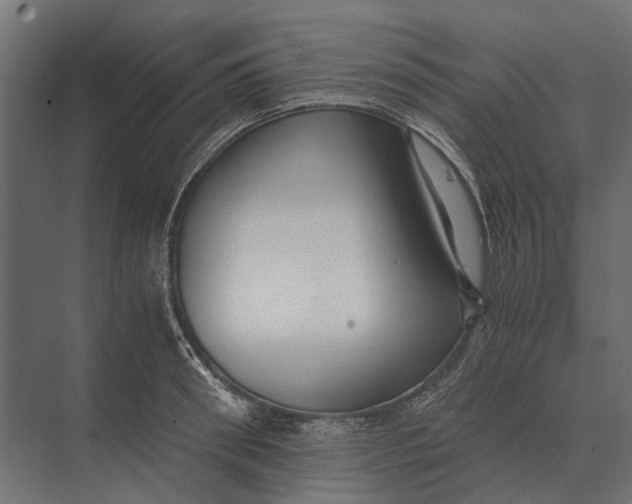 X0000073450898200608181235