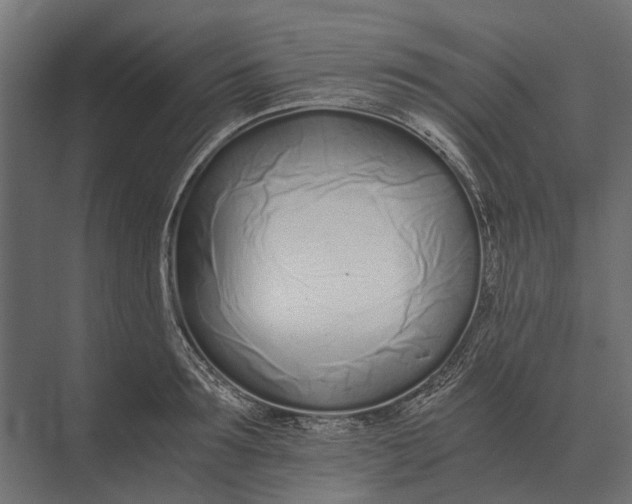 X0000073450899200608181235