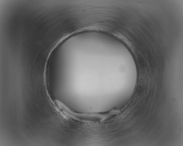 X0000073450902200608181235