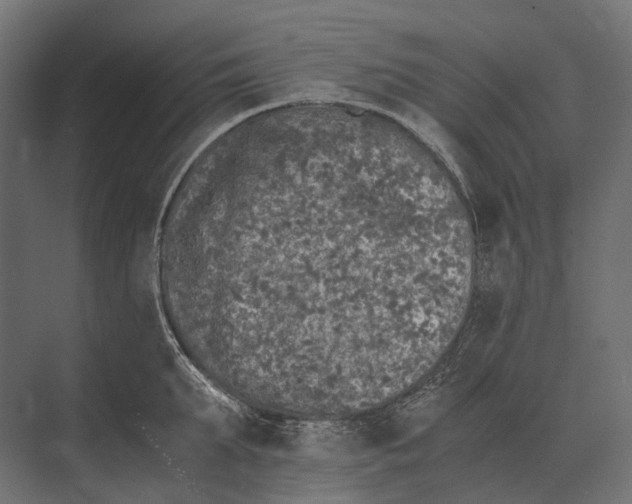 X0000073450903200608181235