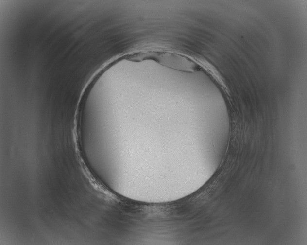 X0000073450904200608181235