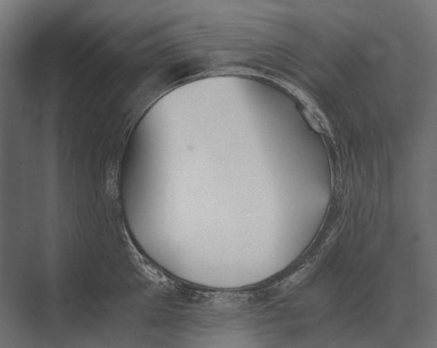 X0000073450905200608181235