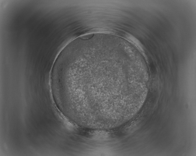 X0000073450907200608181235