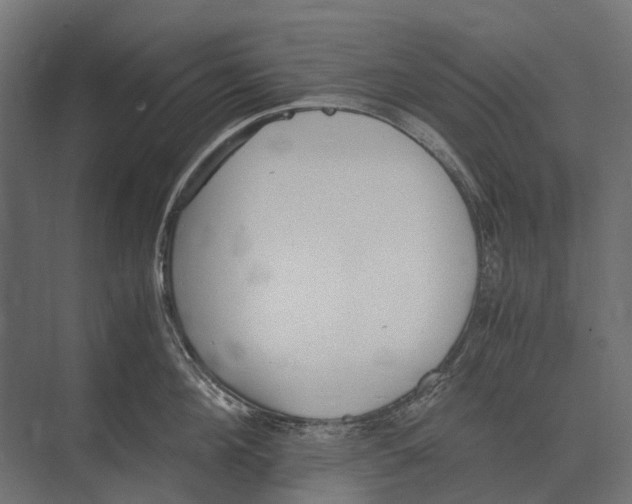 X0000073450908200608181235