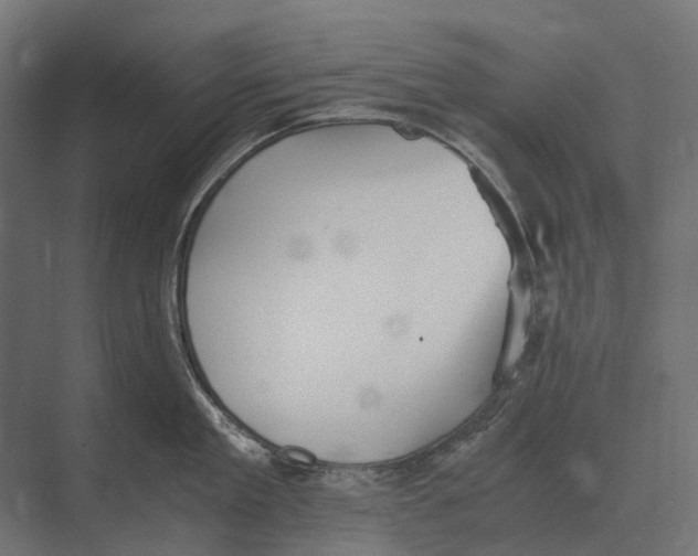 X0000073450909200608181235