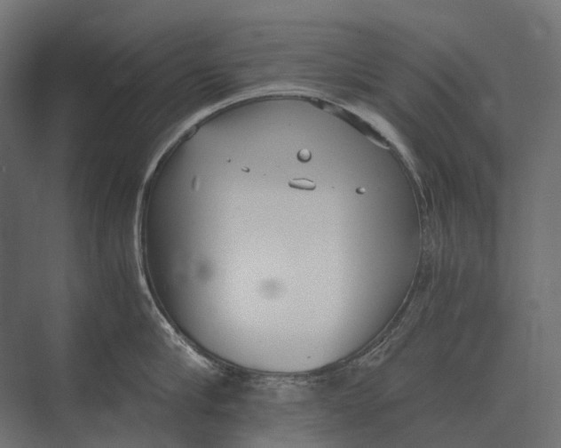 X0000073450910200608181235