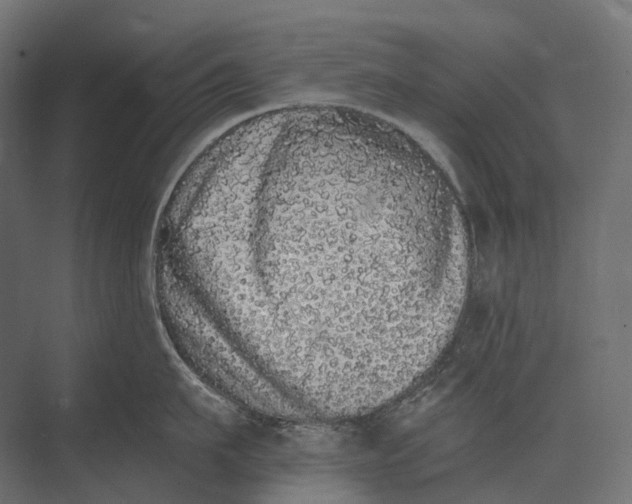 X0000073450911200608181235