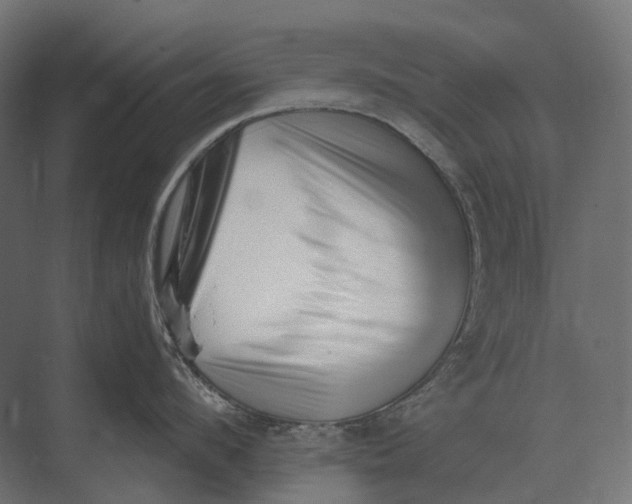 X0000073450912200608181235