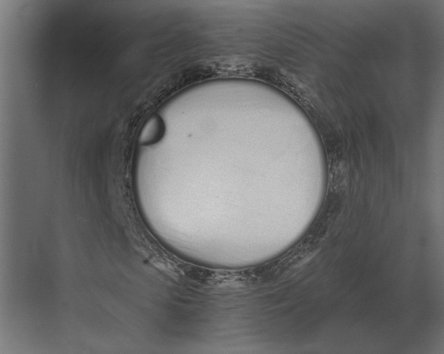 X0000073450913200608181234