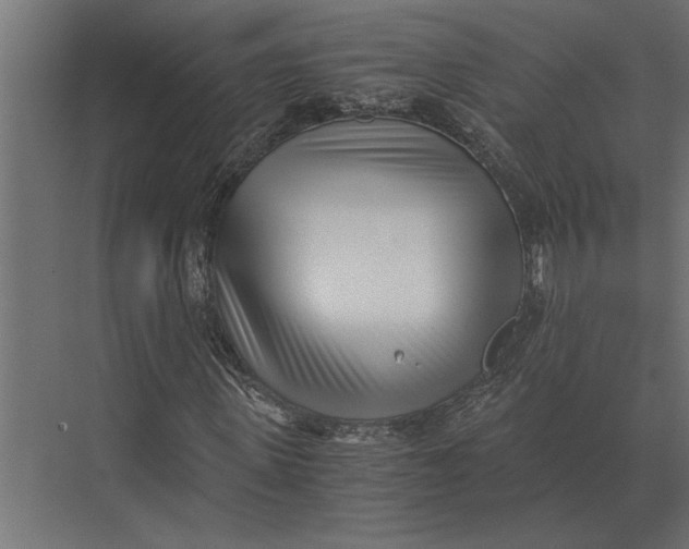 X0000073450915200608181234